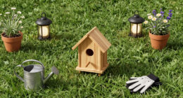 How to Turn Your Yard Into a Refuge for Fireflies