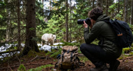 Our First (And Last) Hunt For The Rare White Bear Of British Columbia