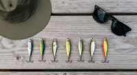 The 7 Best Frog Lures For Catching Big Bass