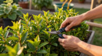 12 Best Fast-Growing Shrubs in 2026