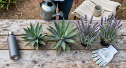 13 Best Drought-Tolerant Privacy Plants in 2026