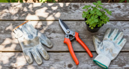 13 Best Pruning Shears in 2026