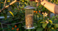 15 Best Bird Feeders For Gardens In 2026