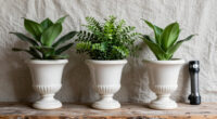 15 Best Urn Planters in 2026