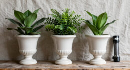 15 Best Urn Planters in 2026