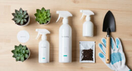 5 Best Plant Revival Products in 2026