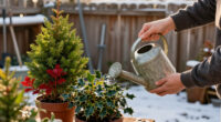 5 Best Winter Garden Plants in 2026
