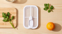 7 Best Kitchen Bug Traps in 2026
