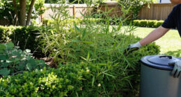 9 Best Fast-Growing Privacy Plants in 2026