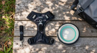 11 Best Pet Travel Accessories in 2026