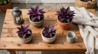 12 Best Purple Houseplants in 2026