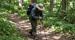 15 Best Hiking Gear for Seniors in 2026