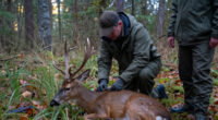 9 Deer Diseases Every Hunter Should Know About