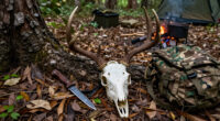 ‘A Buck Like This One Is Special.’ Bowhunter’s 17-Point Florida Deer Is Actually A Giant
