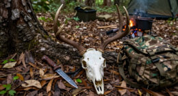 ‘A Buck Like This One Is Special.’ Bowhunter’s 17-Point Florida Deer Is Actually A Giant