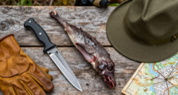 Harvest Or Kill? Which Term Hunters Should Use