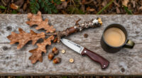 Here’s What All Deer Hunters Should Know About Acorns And Oaks