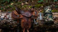 The Best Tree Saddles Of 2026, Tested And Reviewed