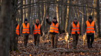 Ditch The Treestand And Run A Deer Drive The Traditional Way
