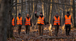 Ditch The Treestand And Run A Deer Drive The Traditional Way