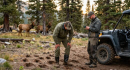 Record Elk Now In Question After Hunting Guides Are Charged With Trespassing