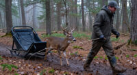 Stop Dragging Your Deer. Use One Of These Instead