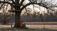 The 10 Best Stand Locations For Hunting The Whitetail Rut